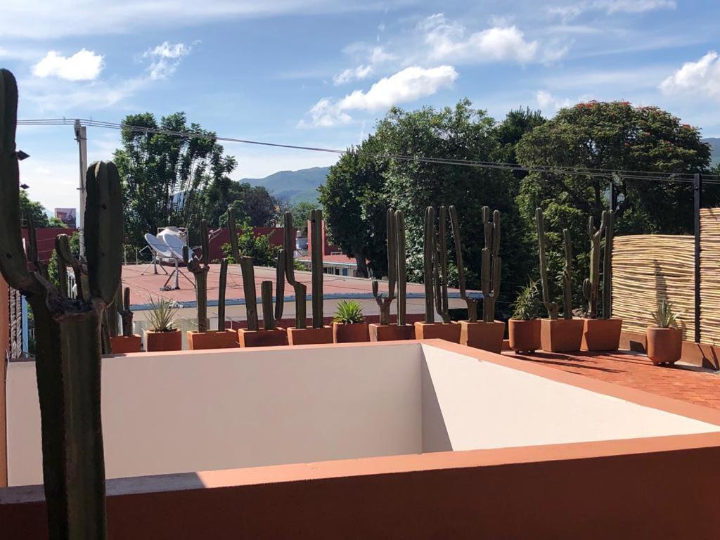 Apartament Casa Cronica Oaxaca Zewnętrze zdjęcie