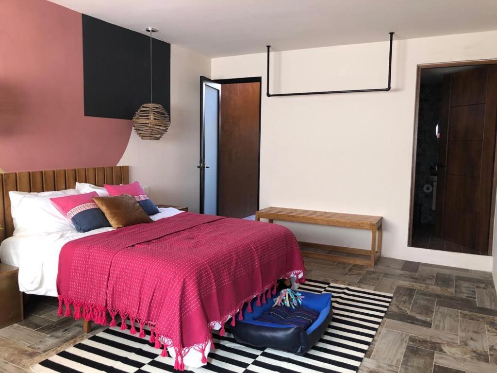 Apartament Casa Cronica Oaxaca Zewnętrze zdjęcie
