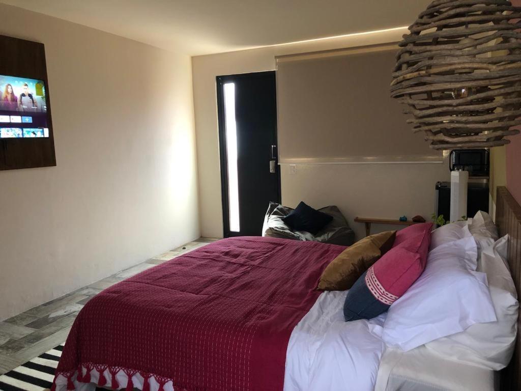 Apartament Casa Cronica Oaxaca Zewnętrze zdjęcie