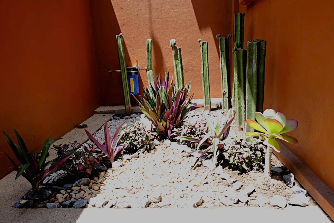 Apartament Casa Cronica Oaxaca Zewnętrze zdjęcie